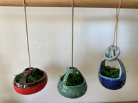 Hanging Planters (various sizes and glazes)